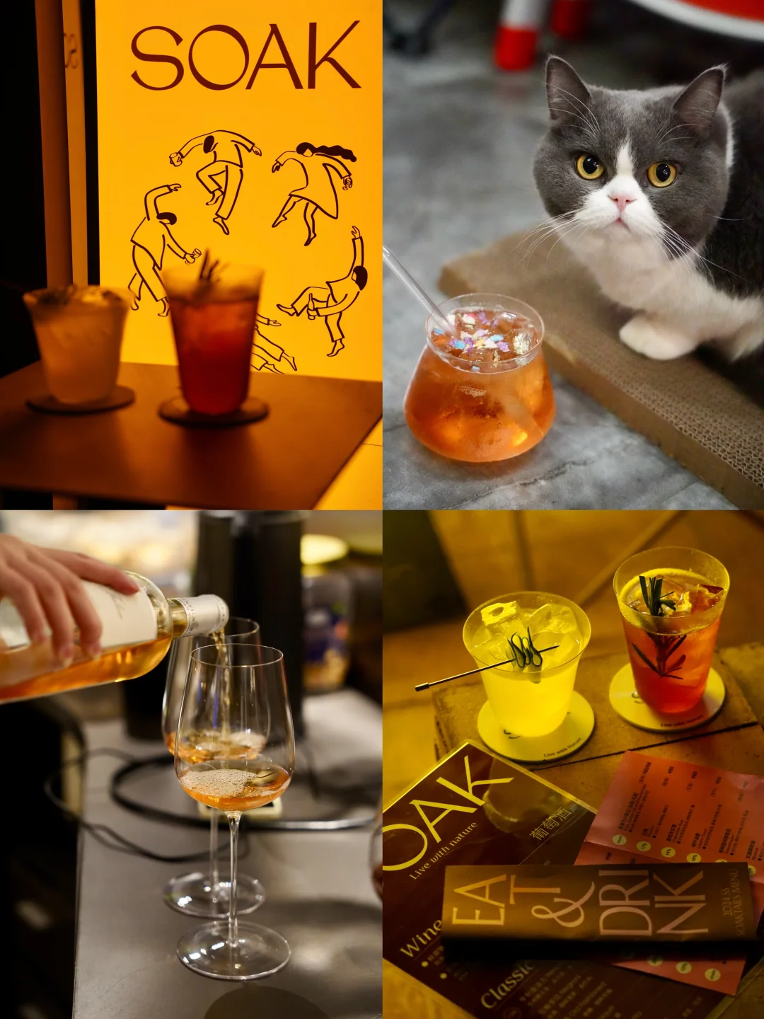 在宁波喝漂亮酒🍹！超chill小众酒馆合集🐈
