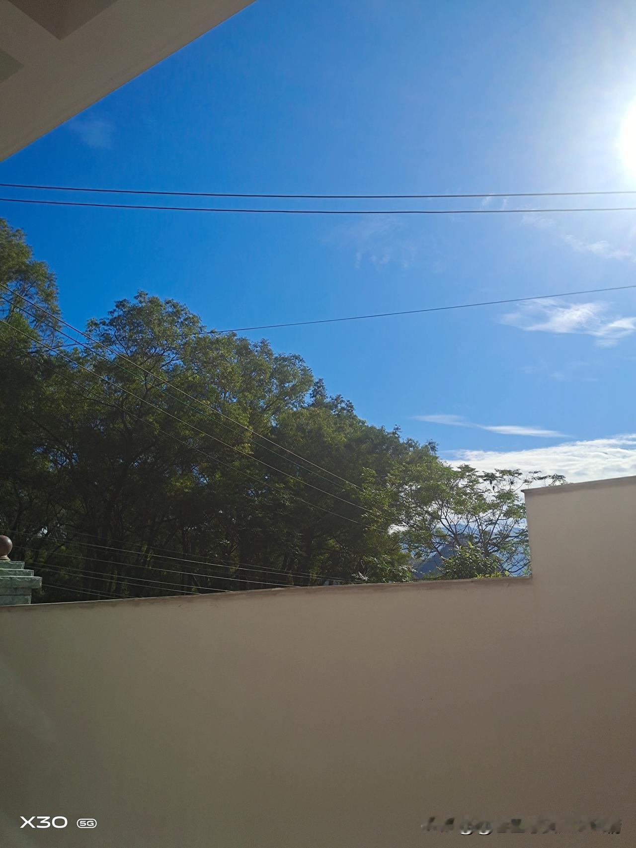 若灾难降临，我愿做黑暗中的微光。先以冷静筑起生存堡垒：储备净水与种子，用简易工具