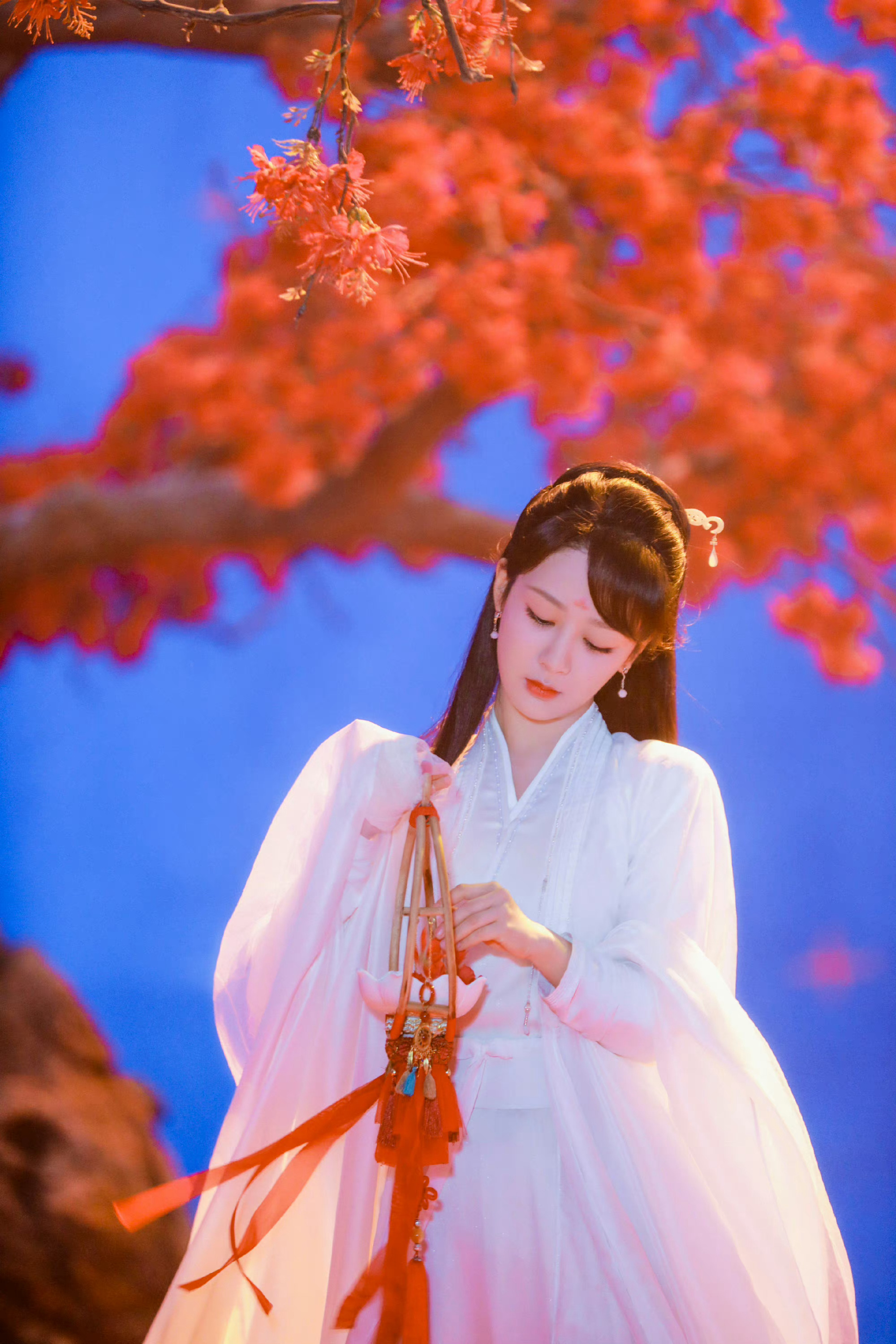 杨紫 凤凰花🌸小夭🌸皓翎玖瑶 
