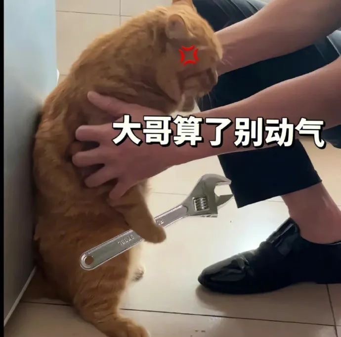 每日一善[超话]   🐱  阳光信用 ygxy🌞 可🧱可蹭【诚信互🍎 ?