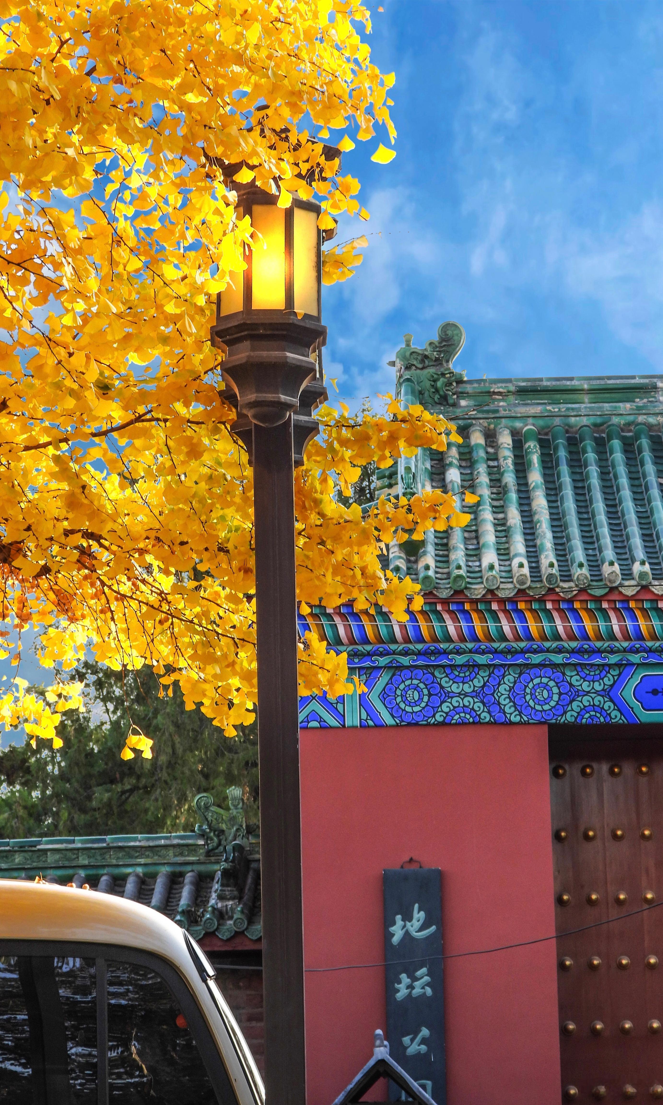 【北京地坛公园】霜飞碧落天容与，曦晃赤城霞蔚蒸。（弘历 锦树）摄影