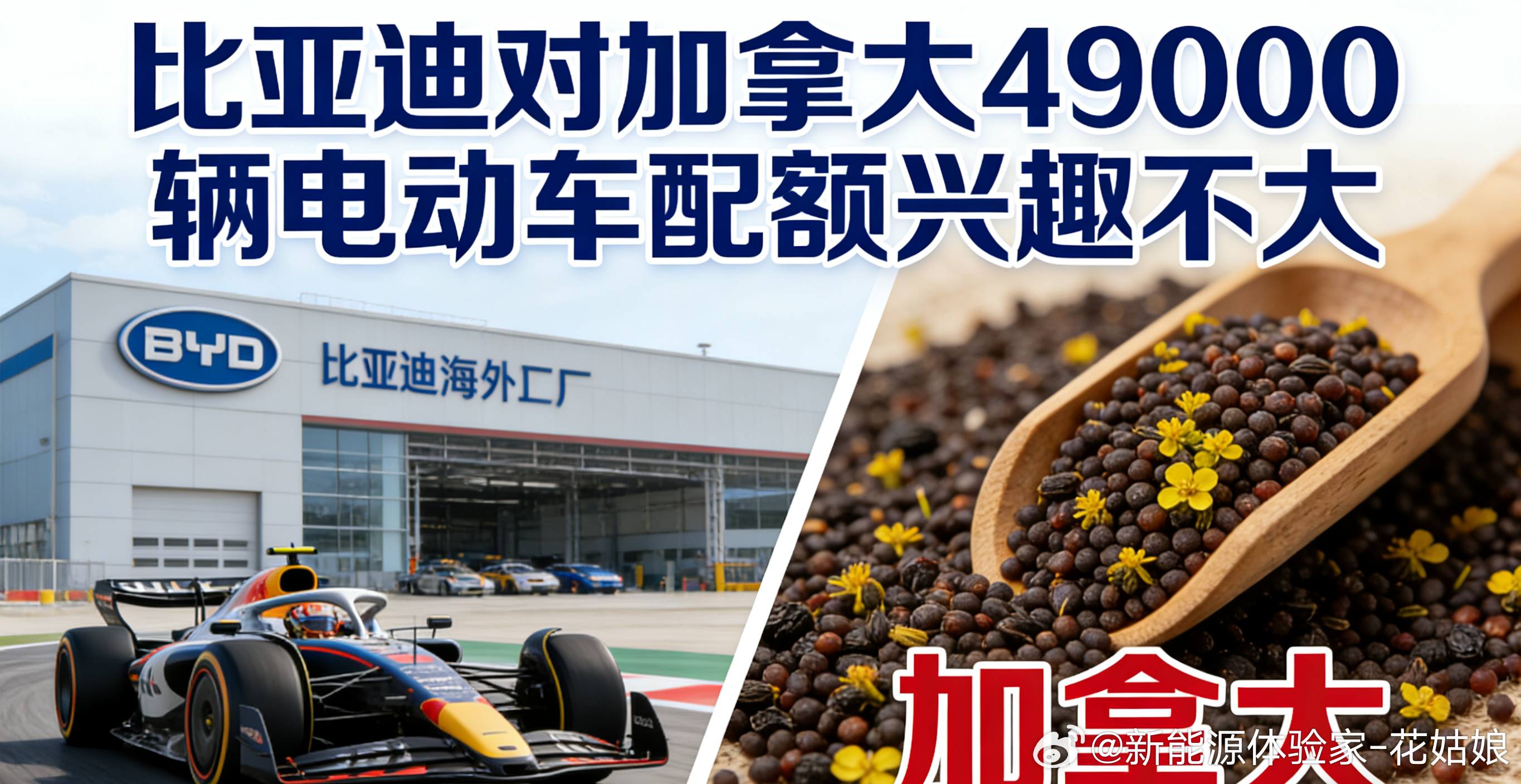 加拿大这点配额，还入不了比亚迪的眼。要进就全资控股，不跟人合伙分蛋糕。出口反超国