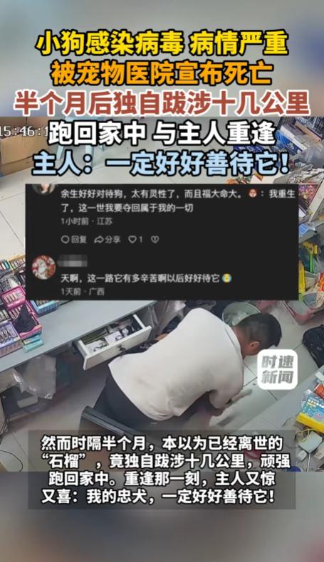 万万没有想到，江苏，一男子家狗子因得了疾病，送到宠物医院治疗后被宣布死亡，主人虽