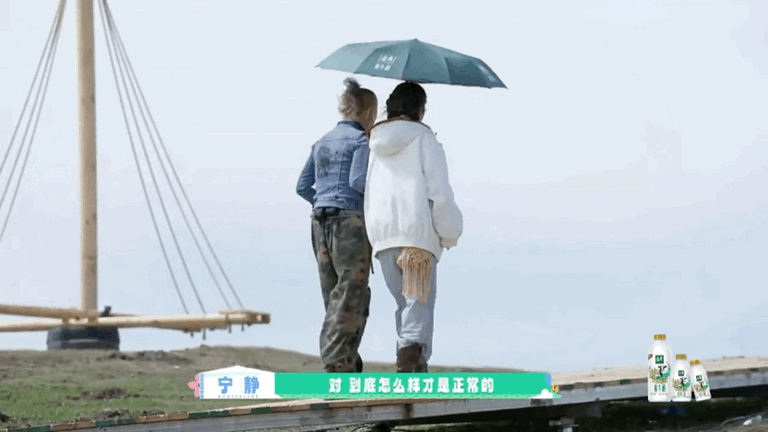 宁静有姐的命没姐的病原来宁静姐也会内耗啊🥺在桃花坞秒变小哭包，但是姐，其实大家