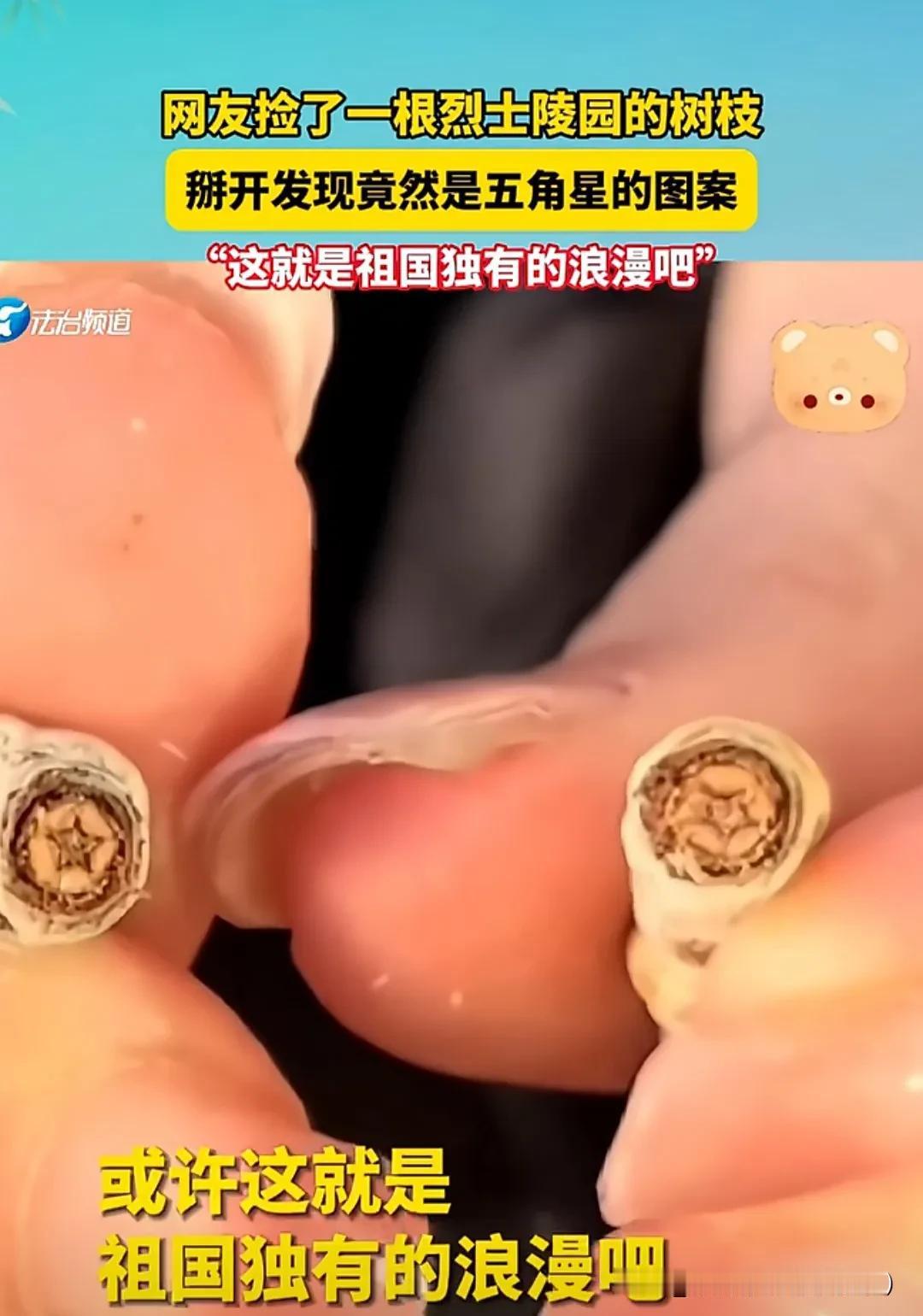 网友捡了一根烈士陵园的树枝，掰开发现竟然是五角星的图案。
“这就是祖国独有的浪漫