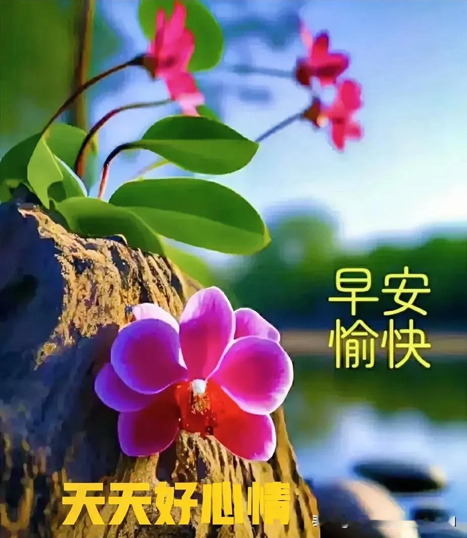 联1🍃🍃🍃🍃
春风挥笔诗意满
绿柳摆枝舞姿盈

联2🍃🍃🍃🍃
春