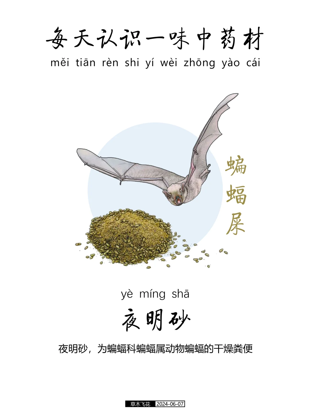 No.380期 每天认识一味中草药-夜明砂🍀