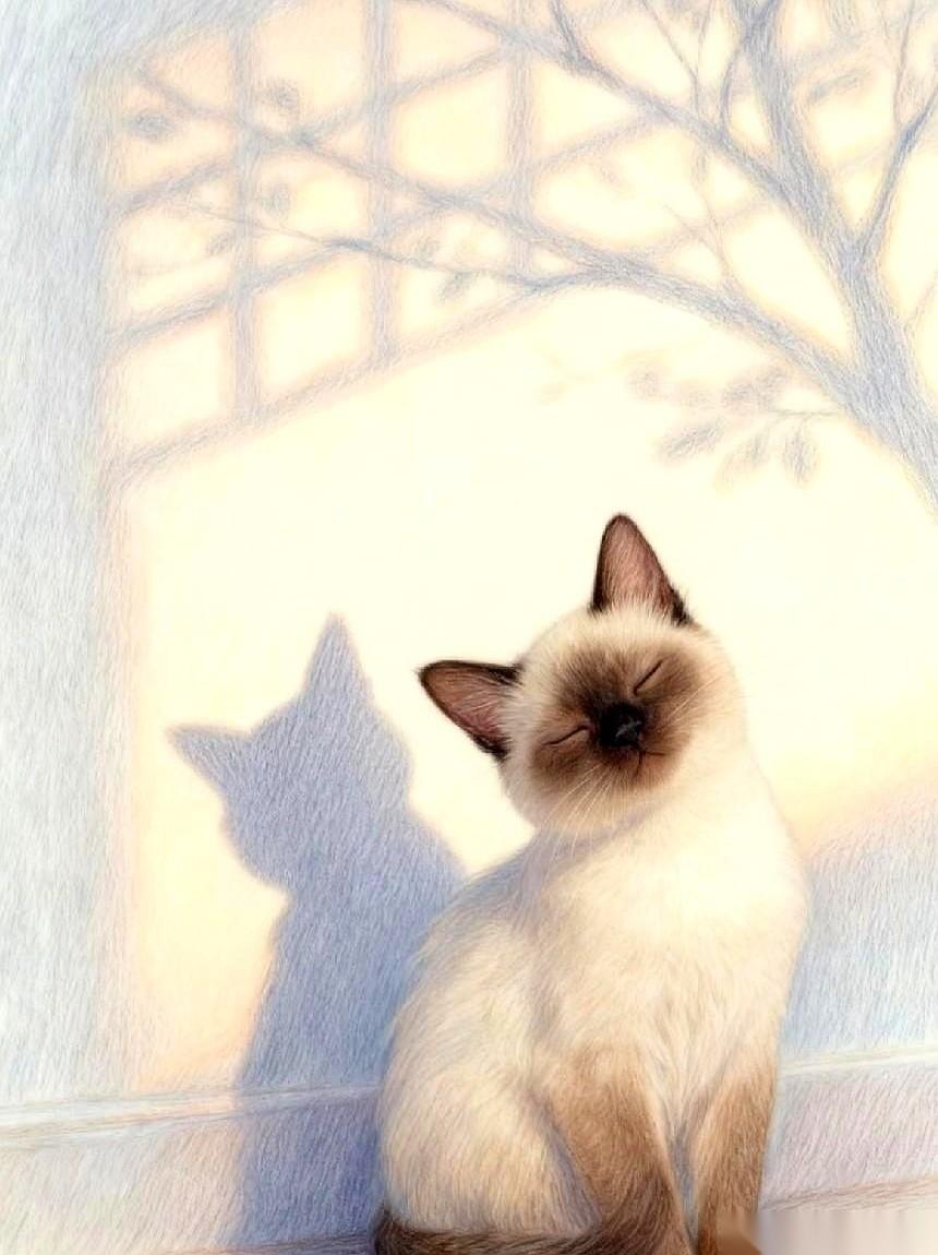 昨天还好好的一个人，今天就跟我说，晚期了。
我愣了半天，脑袋里嗡嗡的。
然后第一