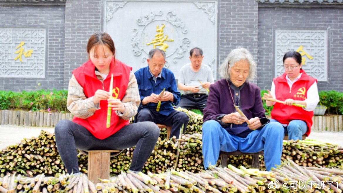 台州小笋打破季节限制让村民常年有钱赚竹海孕育珍笋，冷库盘活产业，工坊铺就乡间共富