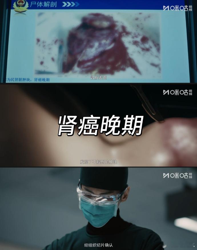 看完剥茧急需刑侦铁三角开班授课 看《剥茧》真的会上头！铁三角硬核破案全程无尿点，