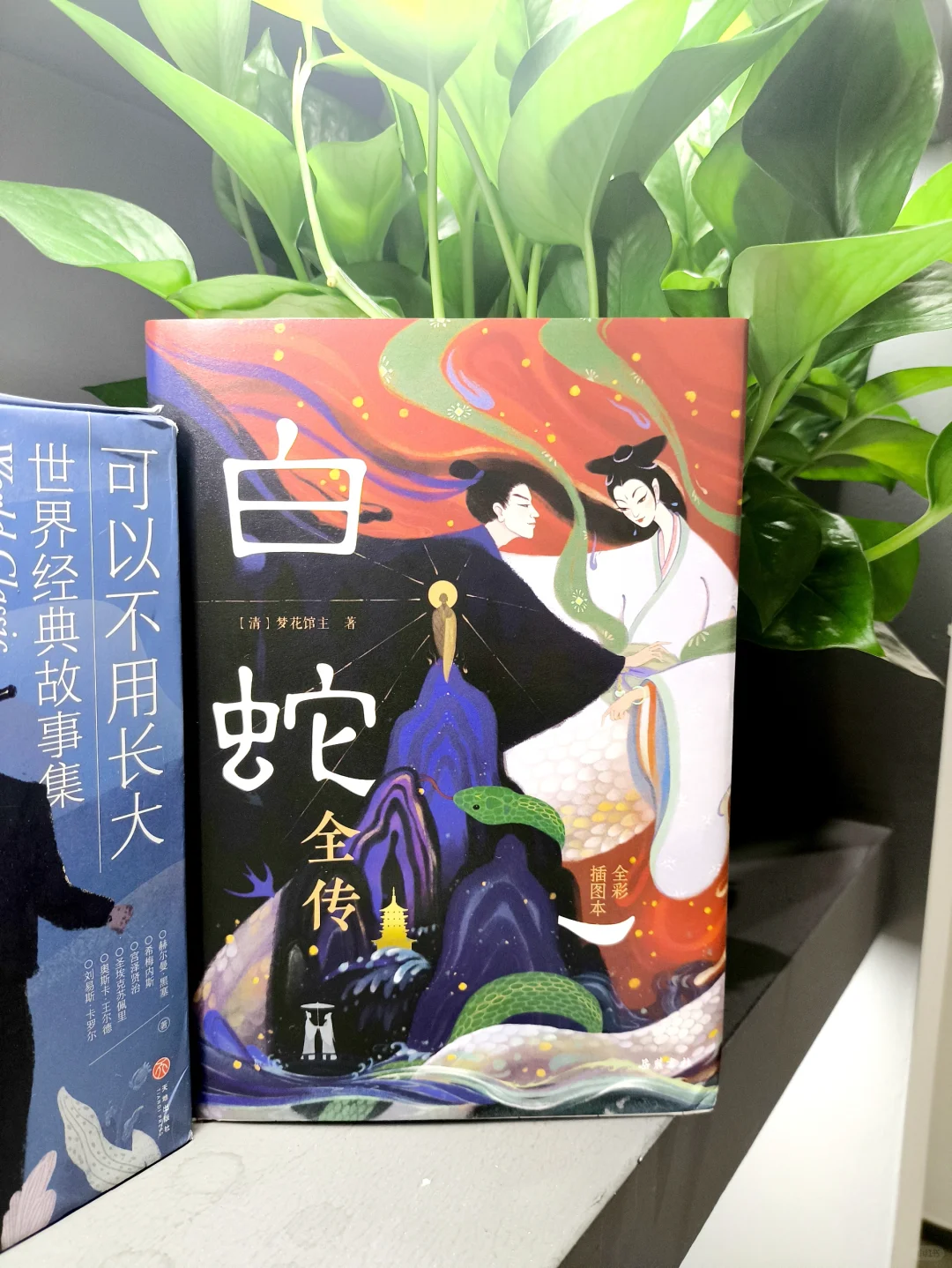 "📖千年爱恋，情深不寿的绝妙体验！