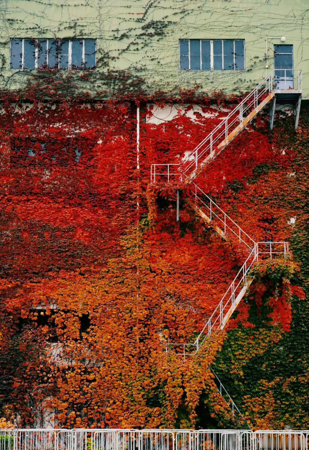 早安早安心语早安,新的一天  早安心语超话  治愈不开心人生感悟人生微语每天说早