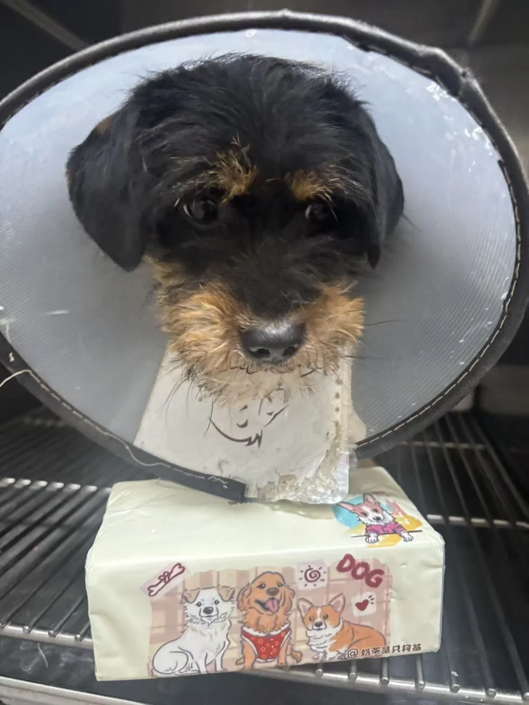 卖100提抽纸给我和三个姐姐绝育