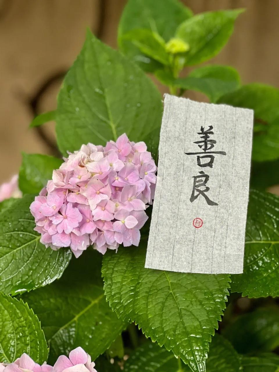 善良这东西，就像一场冒险。我有个朋友阿明，平时邻里有难他都主动帮忙，借钱、跑腿从
