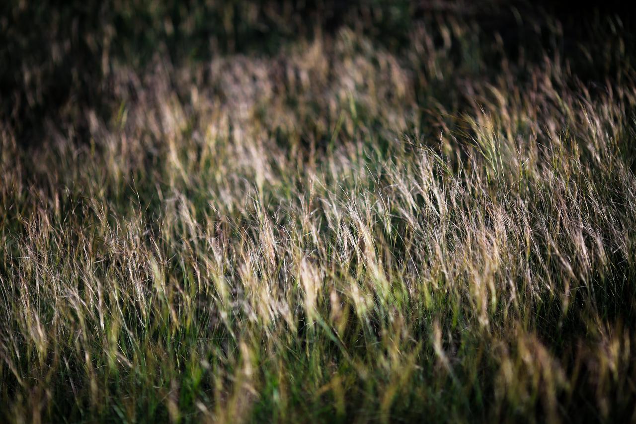 给张家界七星山荒野求生主办方一个建议，休整后停止比赛。该有的流量效果都有了，没必