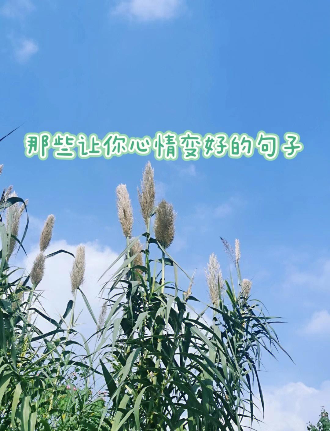 想保持快乐的心情，不妨试试这几招。首先得接纳自己，别老跟别人比，每个人都有优缺点