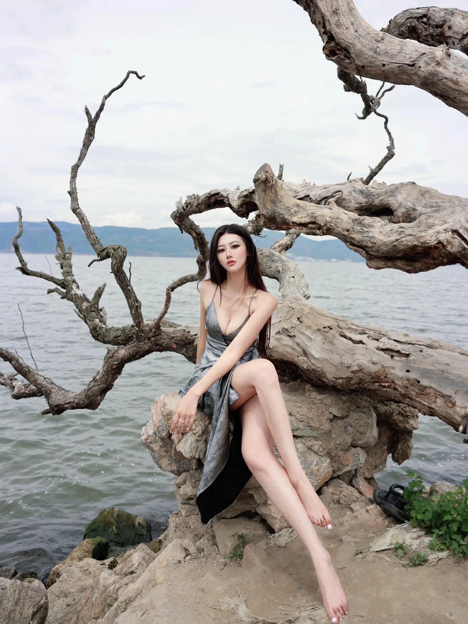 🌊 枯树与海，温柔与倔强。一半是枯萎的过往，一半是辽阔的远方 当裙摆...