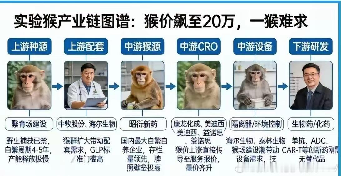 靠卖猴大涨的医药公司，太让人哭笑不得了。 
