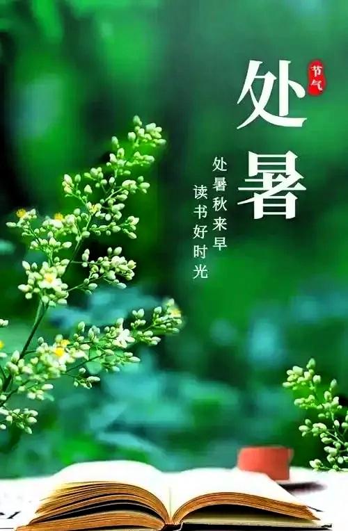 提醒各位，8月23号了。
老话说：处暑天还暑，好似秋老虎；处暑无三日，新凉直万金