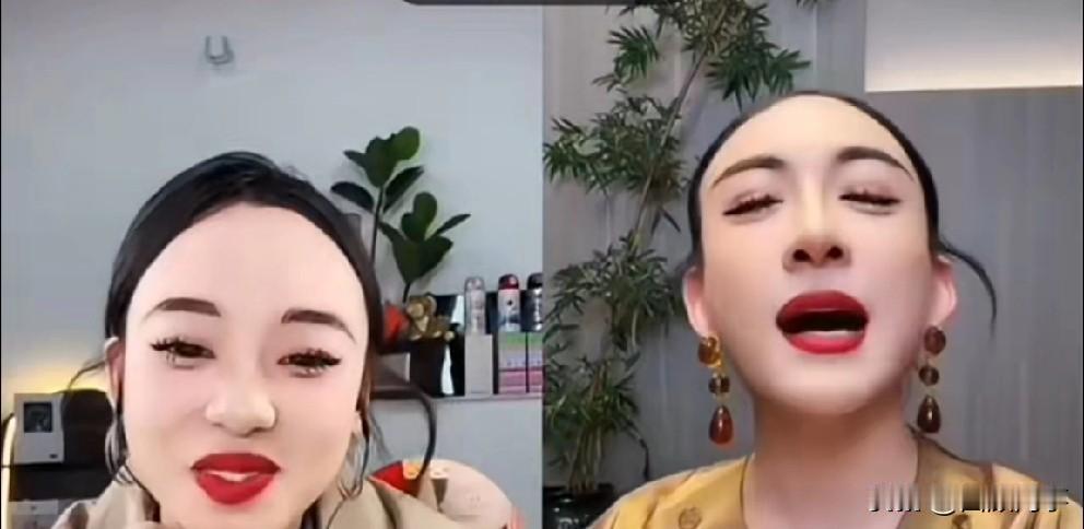 张开凤遇“精仿”模仿者，被扎心找小伊伊告状。

            张开凤随