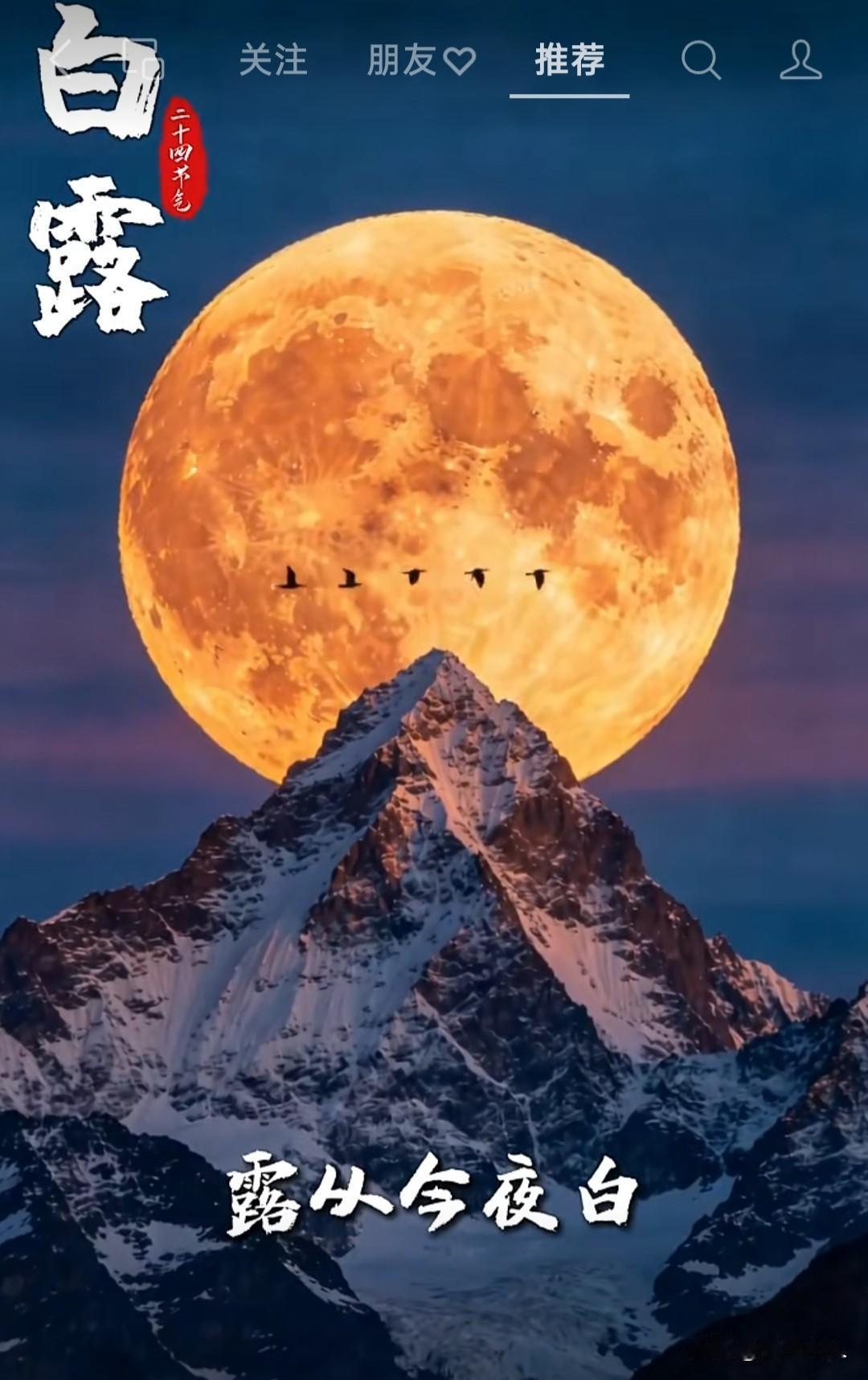 今日白露，想起杜甫“露从今夜白，月是故乡明”。
以前到了白露时节，家乡草木便白露