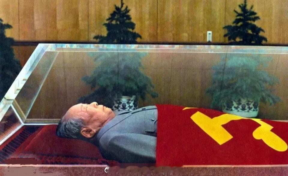 本人建议：每年两会，代表委员都应该先到毛主席纪念堂，瞻仰毛主席遗容，然后再开会！