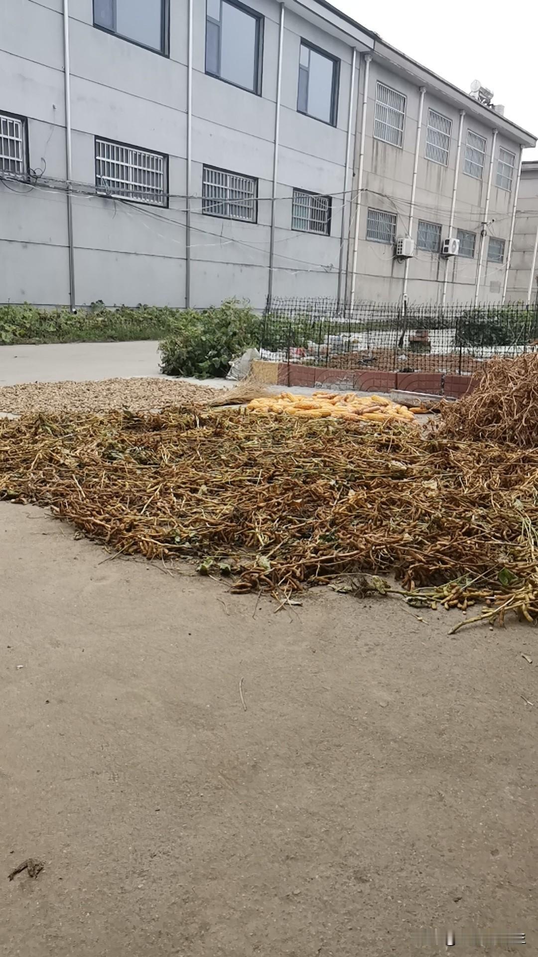 梅雨季节到底是几月？谁知道？我的知识盲区？还是记忆被屏蔽了？