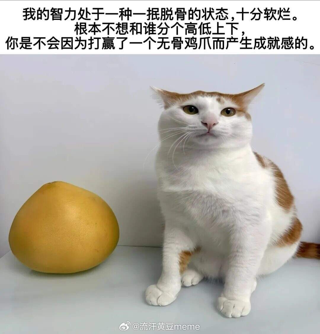 网友投稿图片选集