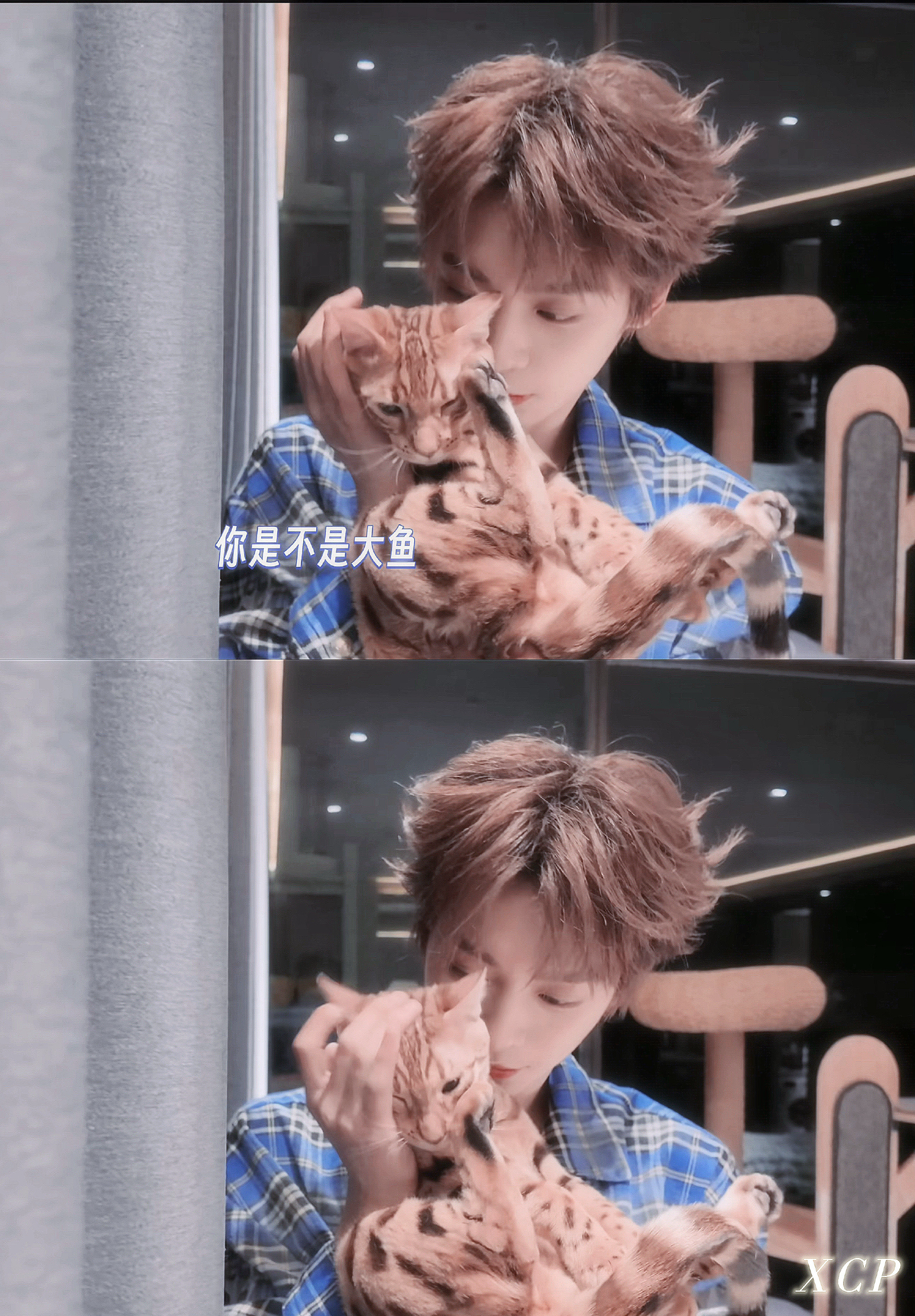 梓渝 zy梓渝未来可期 “触摸不到的是光吗 是正在舞台上发光的少年”