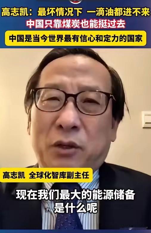 高志凯：最坏情况下，一滴油都进不来，中国只靠煤炭也能挺过去，“中国是当今世界最有