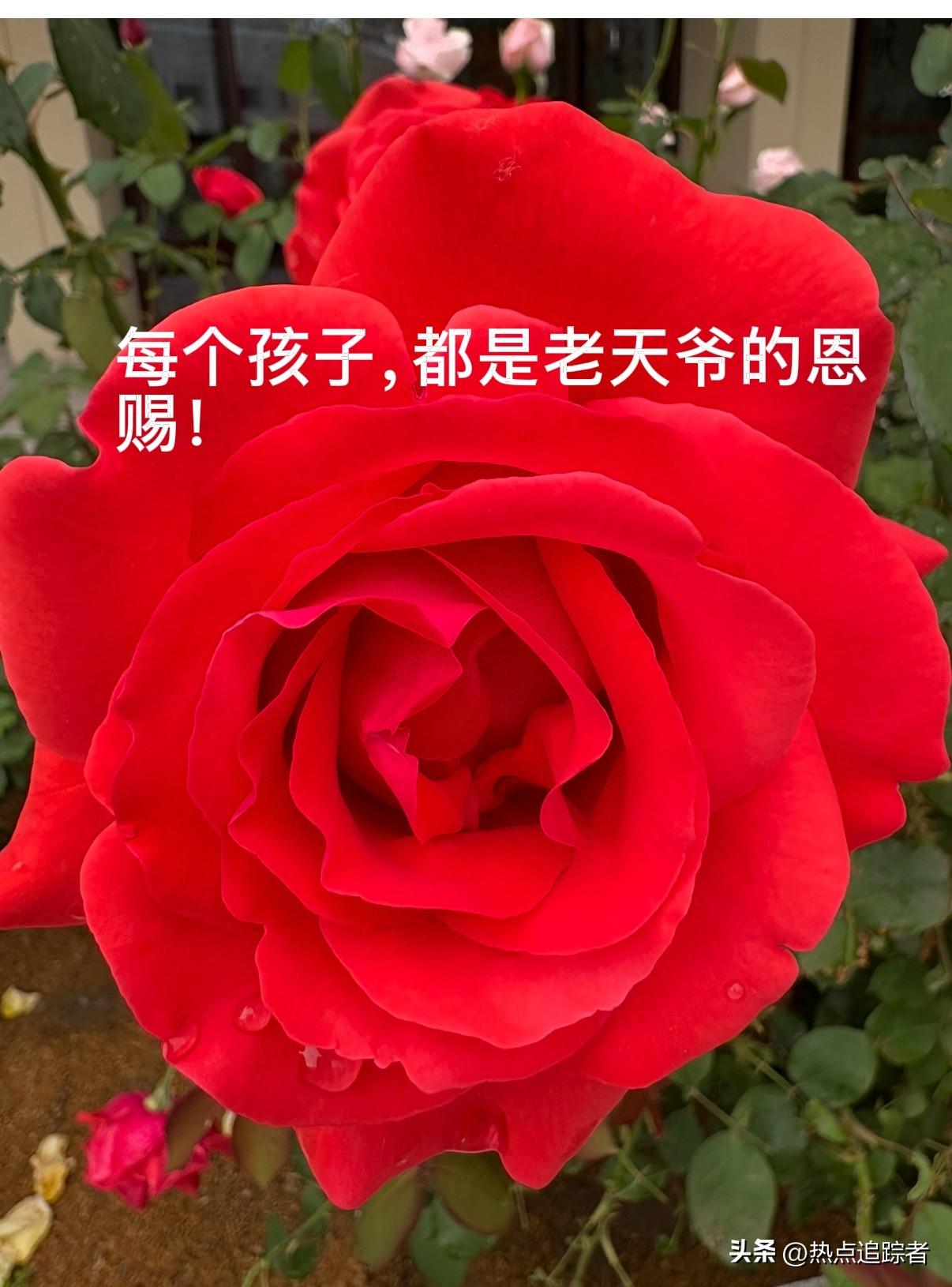 先前听她闺蜜讲，她头胎生的是女儿。那时计划生育尚未放开三胎，她一心盼着生个儿子。