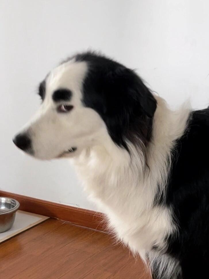 老板画饼时我的表情be like ​​​