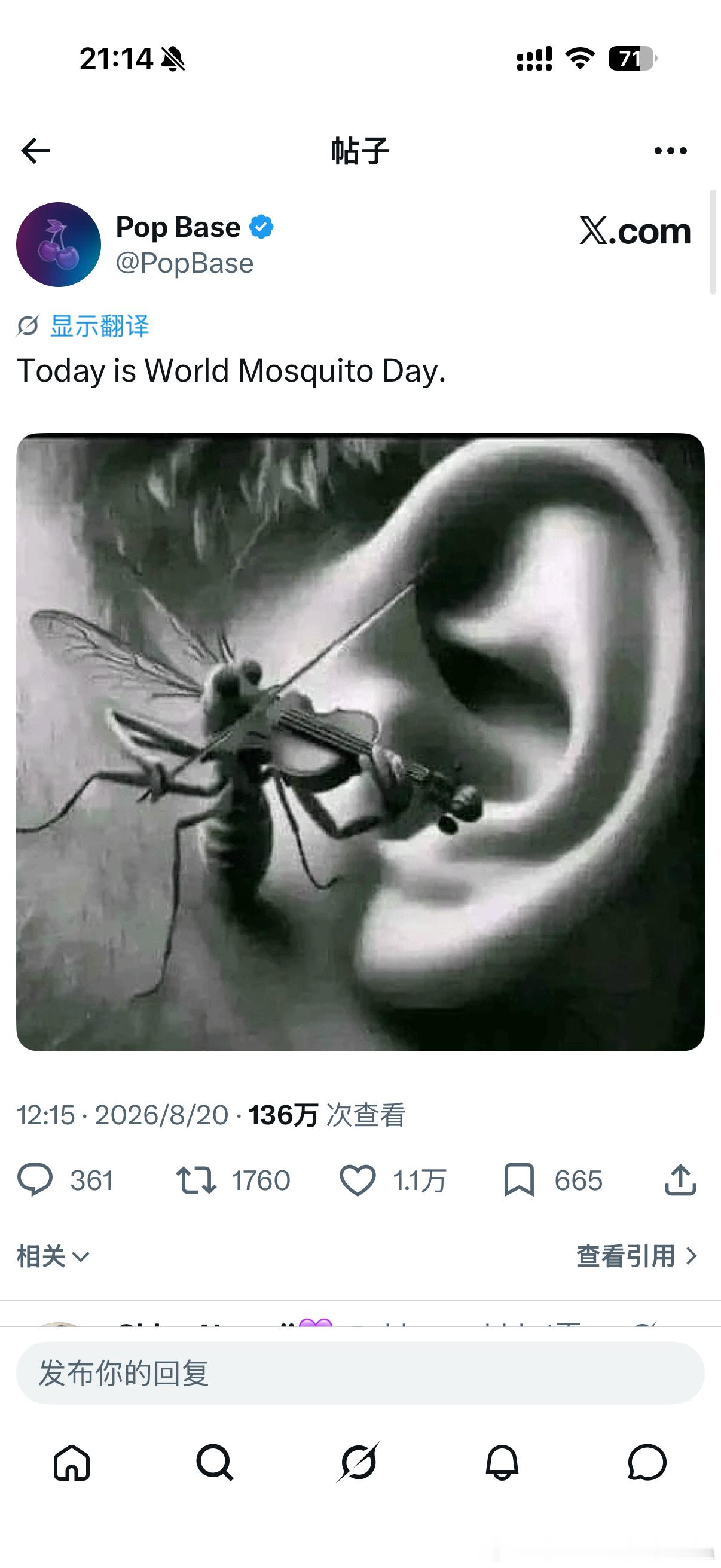 Billie节日快乐 