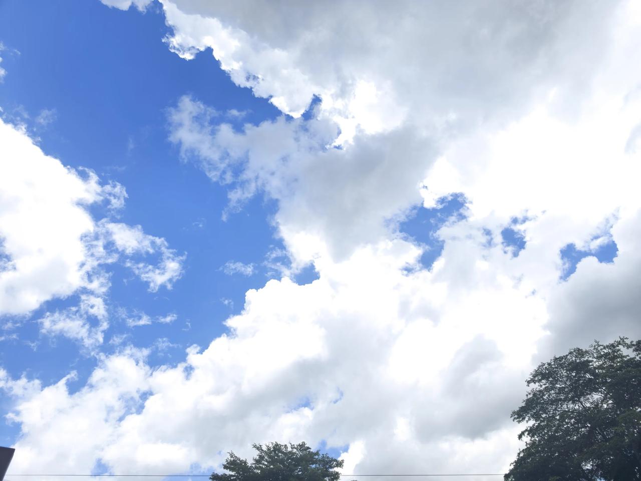 毕业随感
抬眼撞见深圳澄澈的蓝天，蓬松白云漫过树梢，像我们仓促又温柔的四年。从前