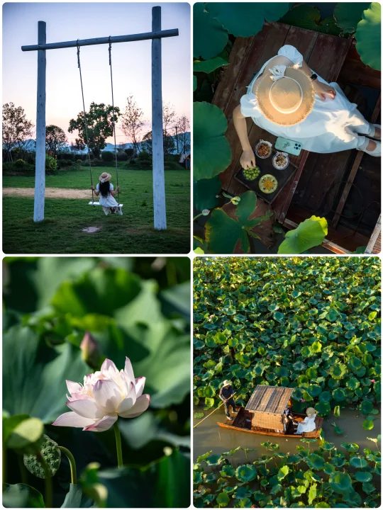 在宁波！我找到了课本里的桃花源～