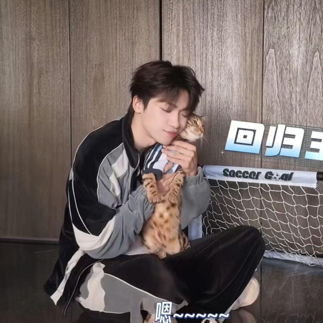 🐱离我远点，你不要过来啊