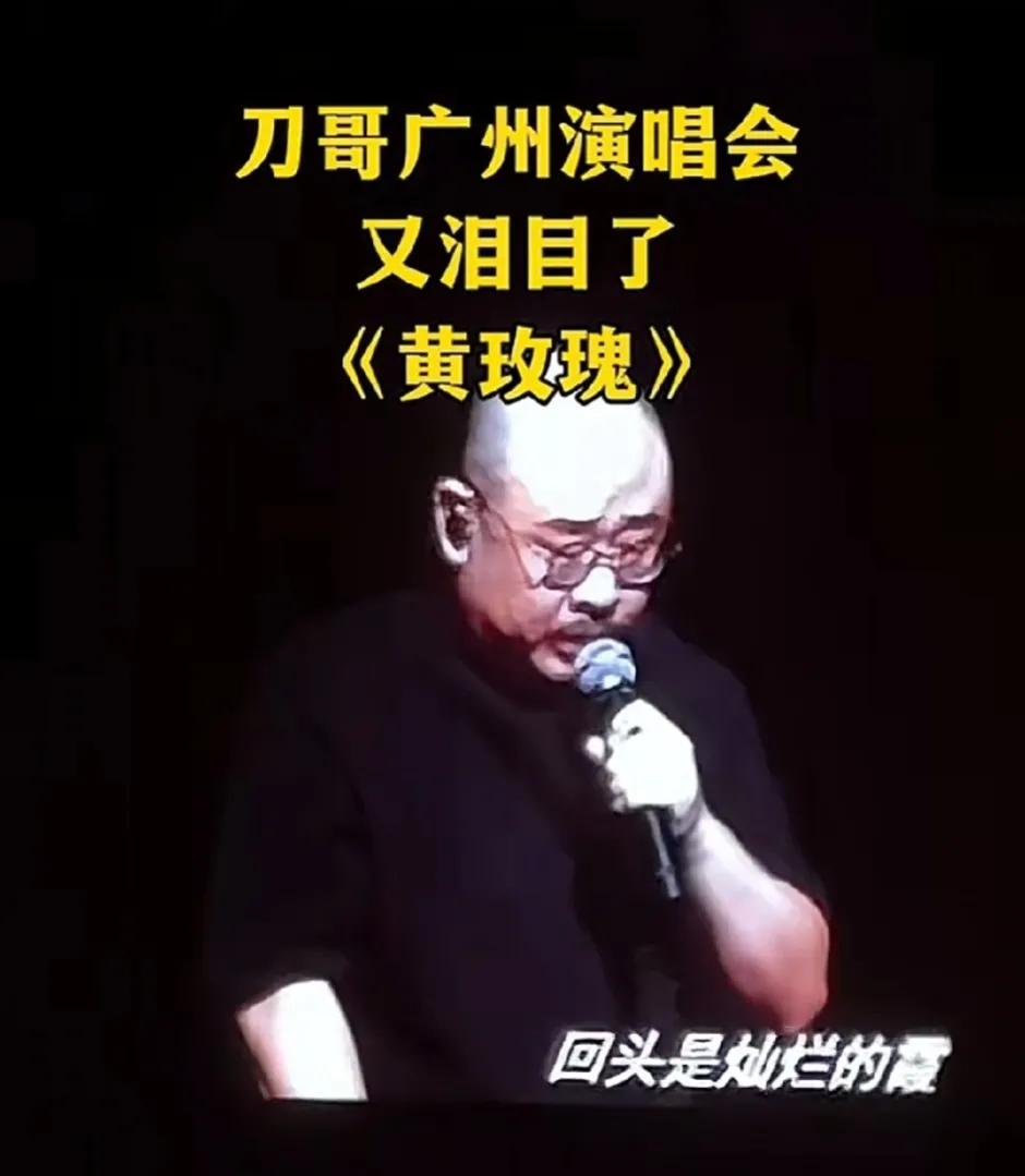 刀郎和郭德纲某些方面出奇的相似，郭德纲一人独挑相声界，#无意冒犯郭德纲# 相声界