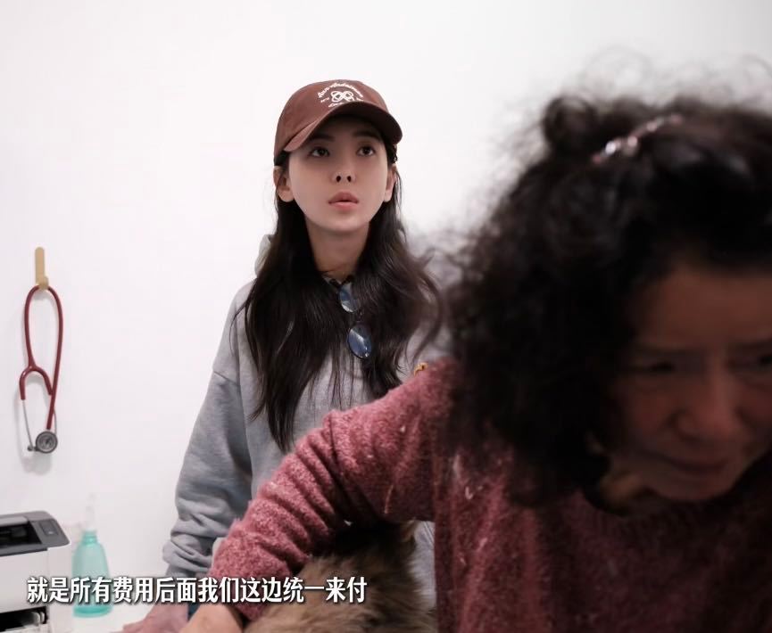 于文文呼吁领养代替购买第一次见面就被猫咪选中，于文文这体质太让人羡慕了！猫咪主动