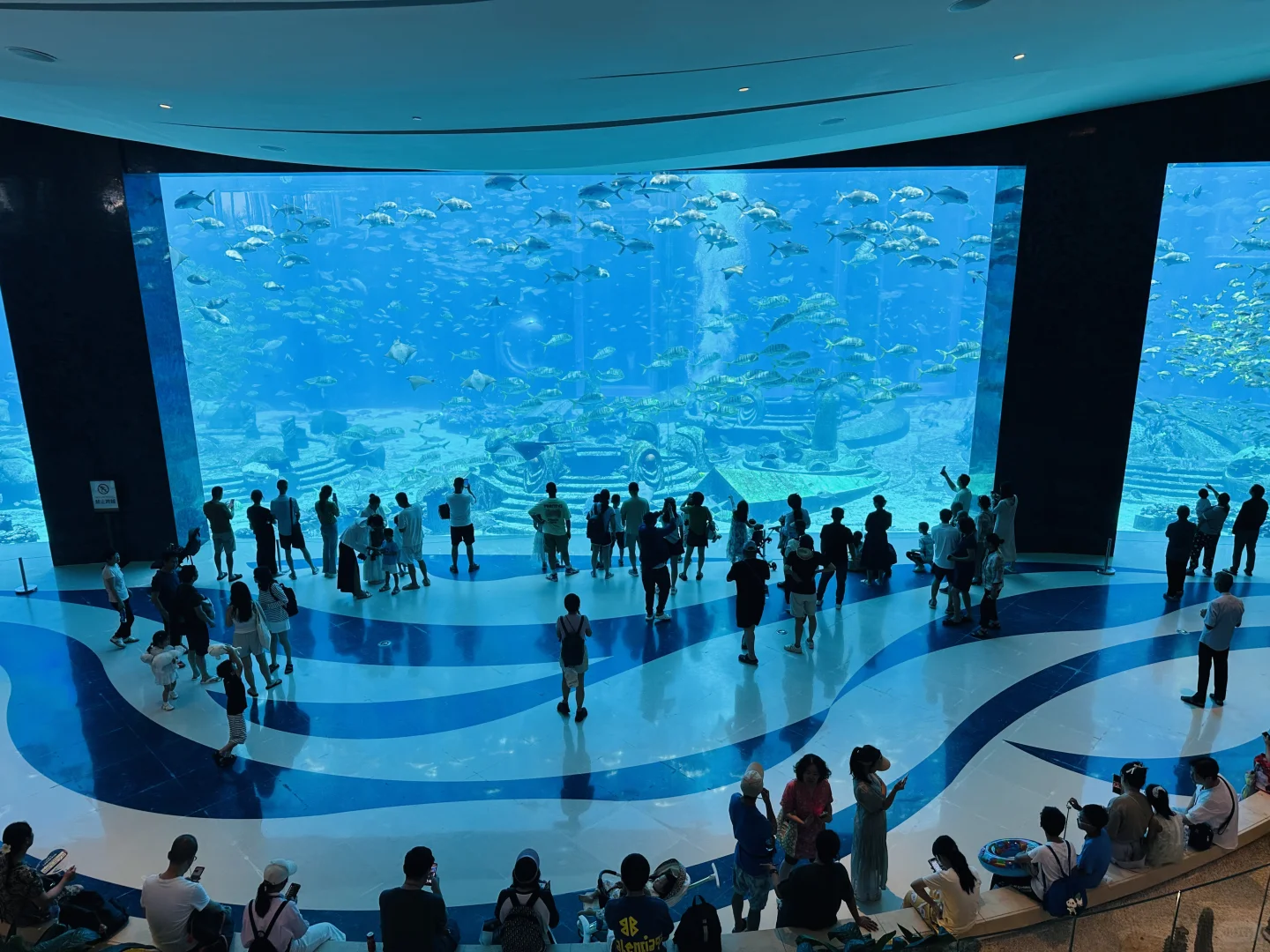三亚🏖️亚特兰蒂斯水族馆🐬免费打卡秘籍