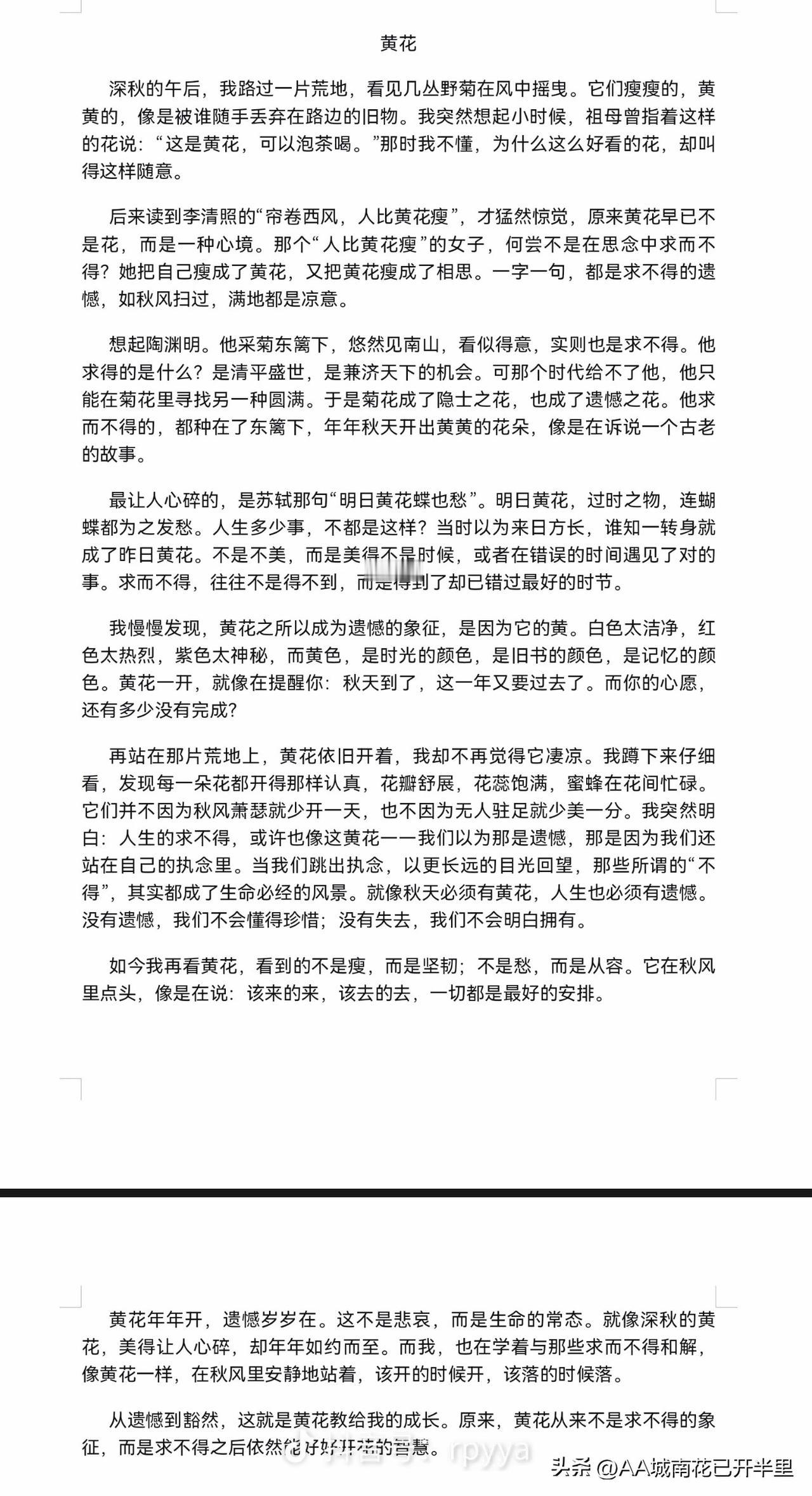 大家好像都在说，“欲买桂花同载酒，终不似，少年游。”好像每一个人都很怀念过去，可