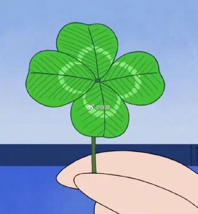 转发这朵好运四叶草🍀好运无限