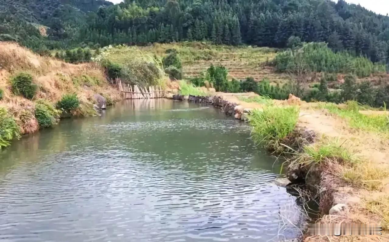 并非谁死谁有理！河北石家庄，一男子带妻子和孩子专门来到河边玩耍，岂料在此过程中，