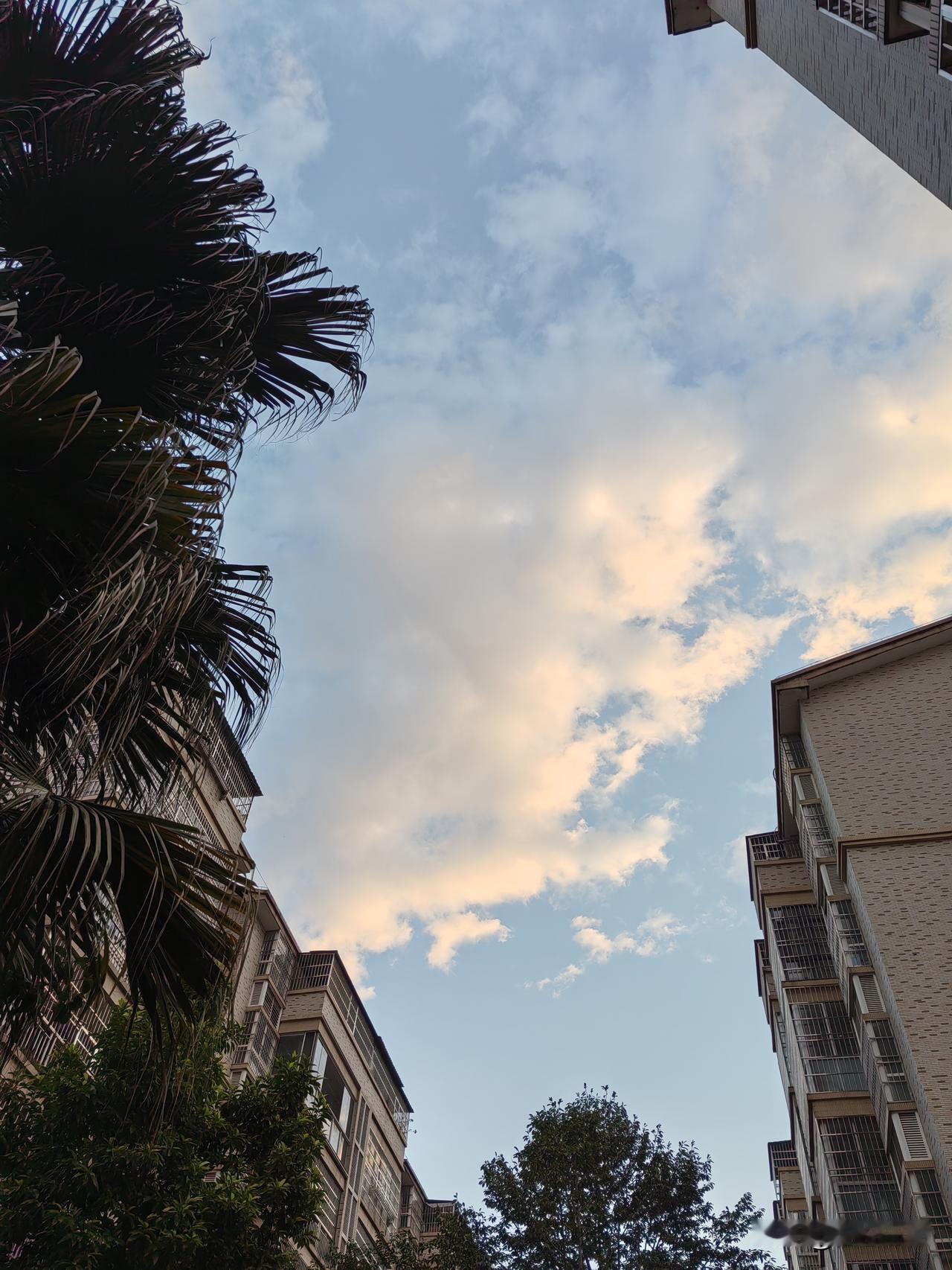 不入局就是最大的阳谋！
成年人受到的伤害，
大部分都是情绪造成的。
别人抛过来一