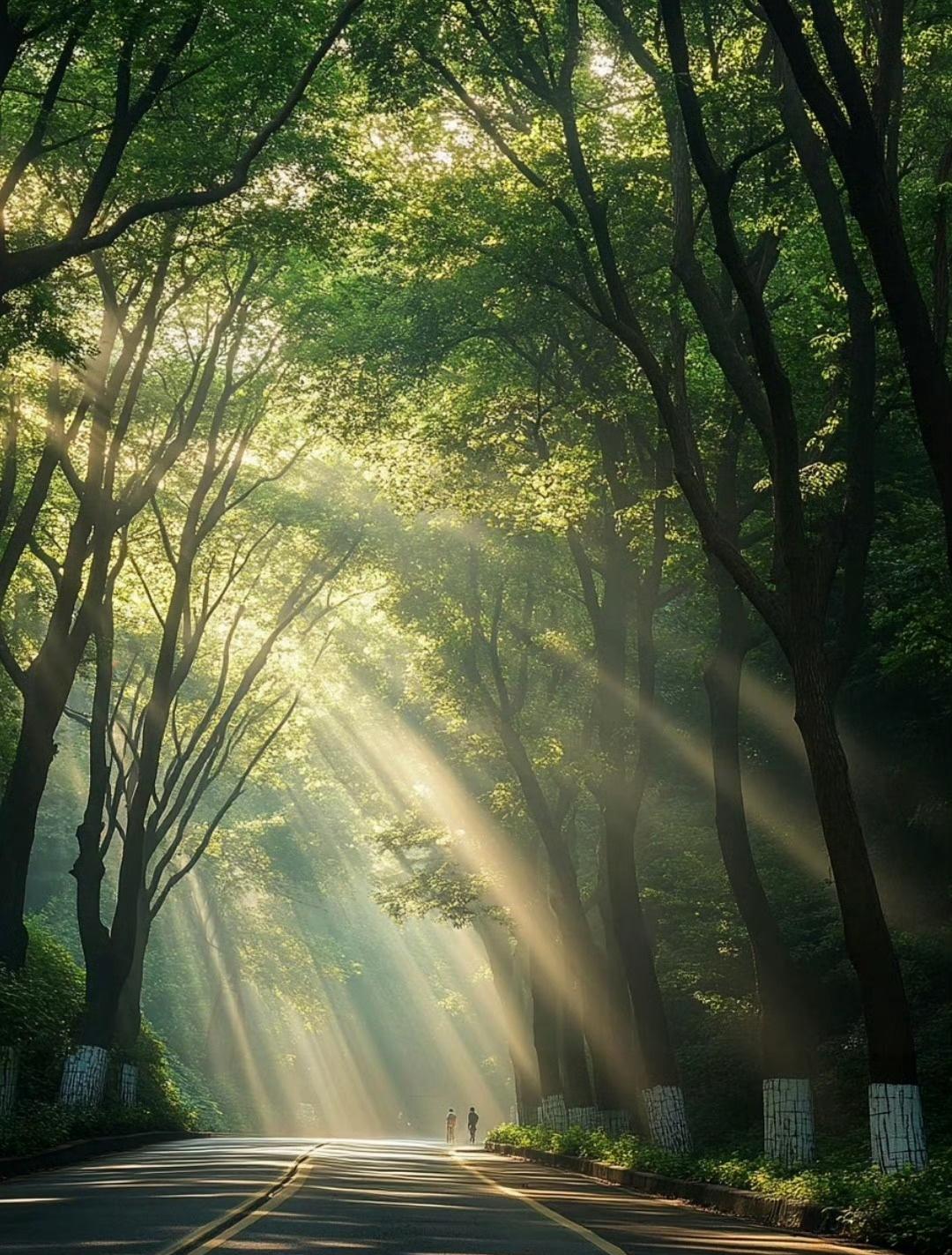 “ 转 · 一路向好 ... ” ​