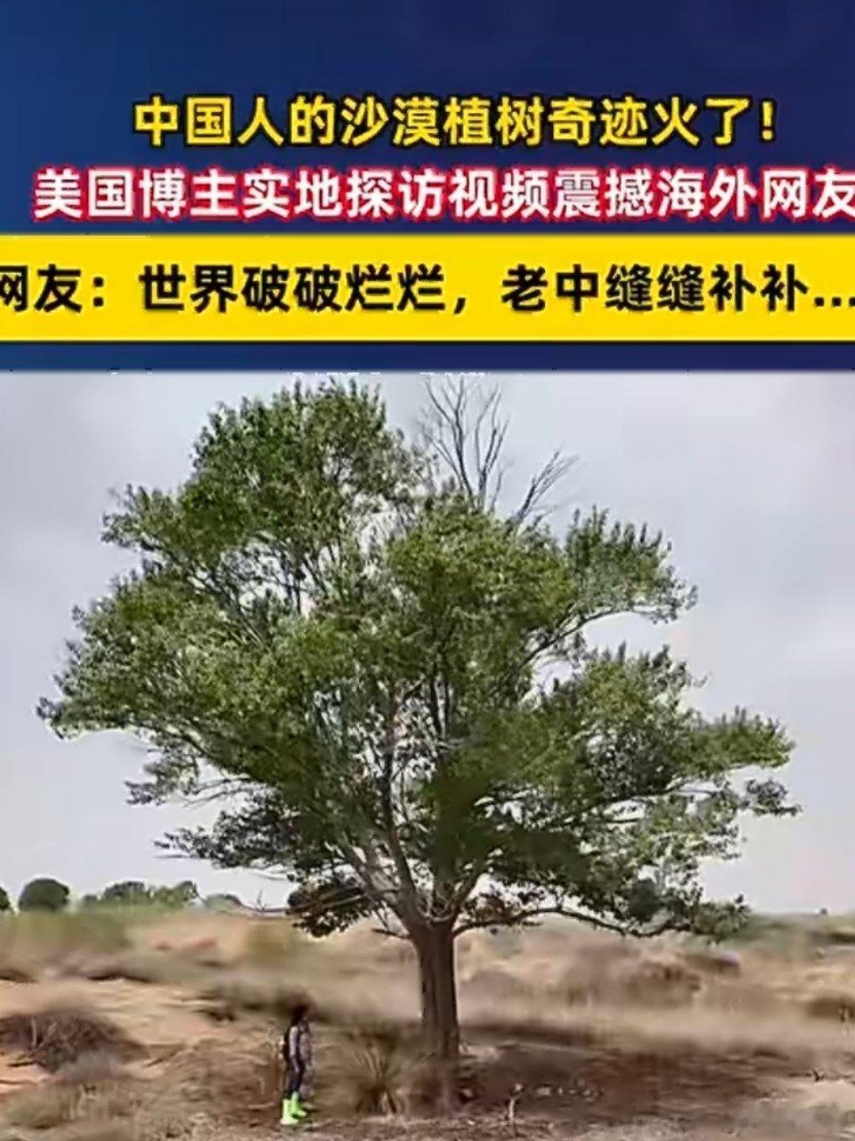 海外网友说只有中国在让世界变美好褪去片面舆论滤镜，外国博主实拍阿拉善治沙全貌。十