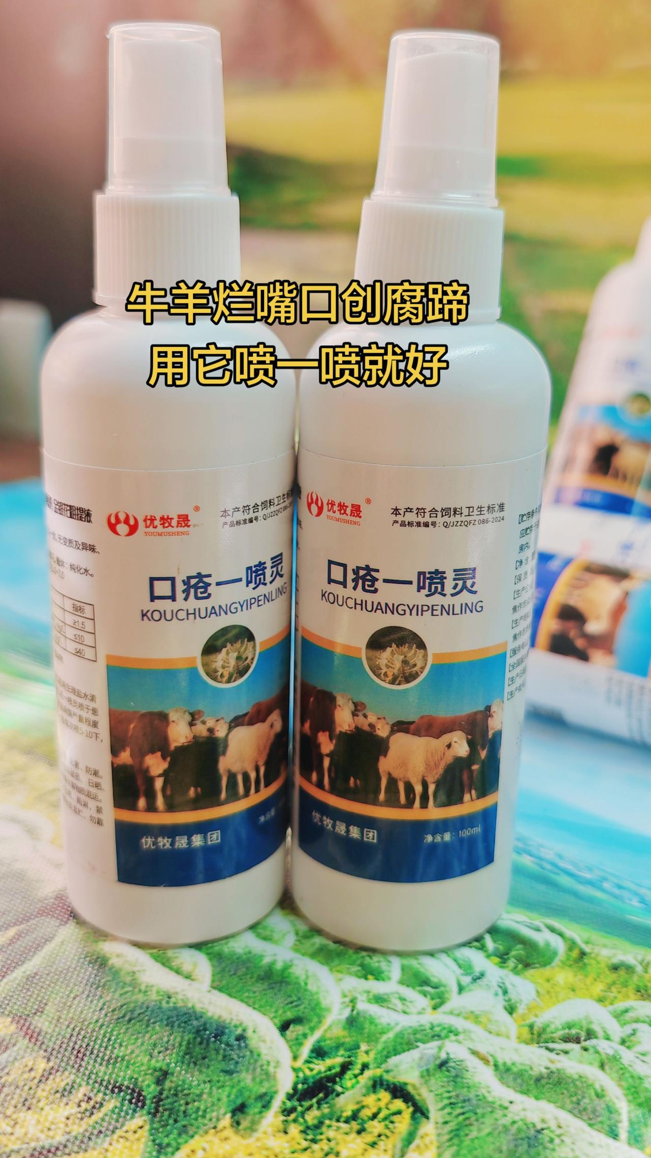 养羊人 牛羊烂嘴 牛羊养殖