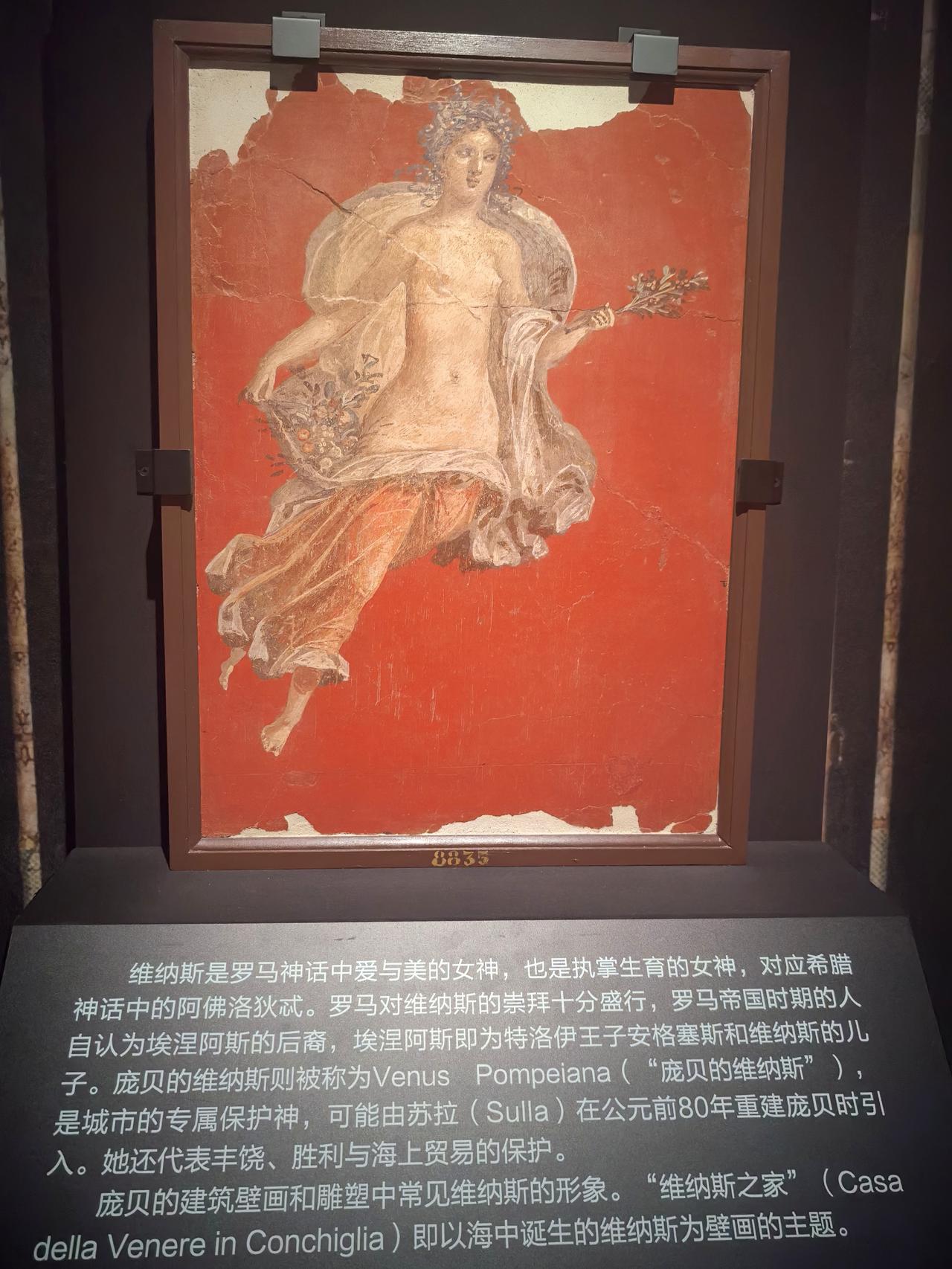 庞贝文物（七）