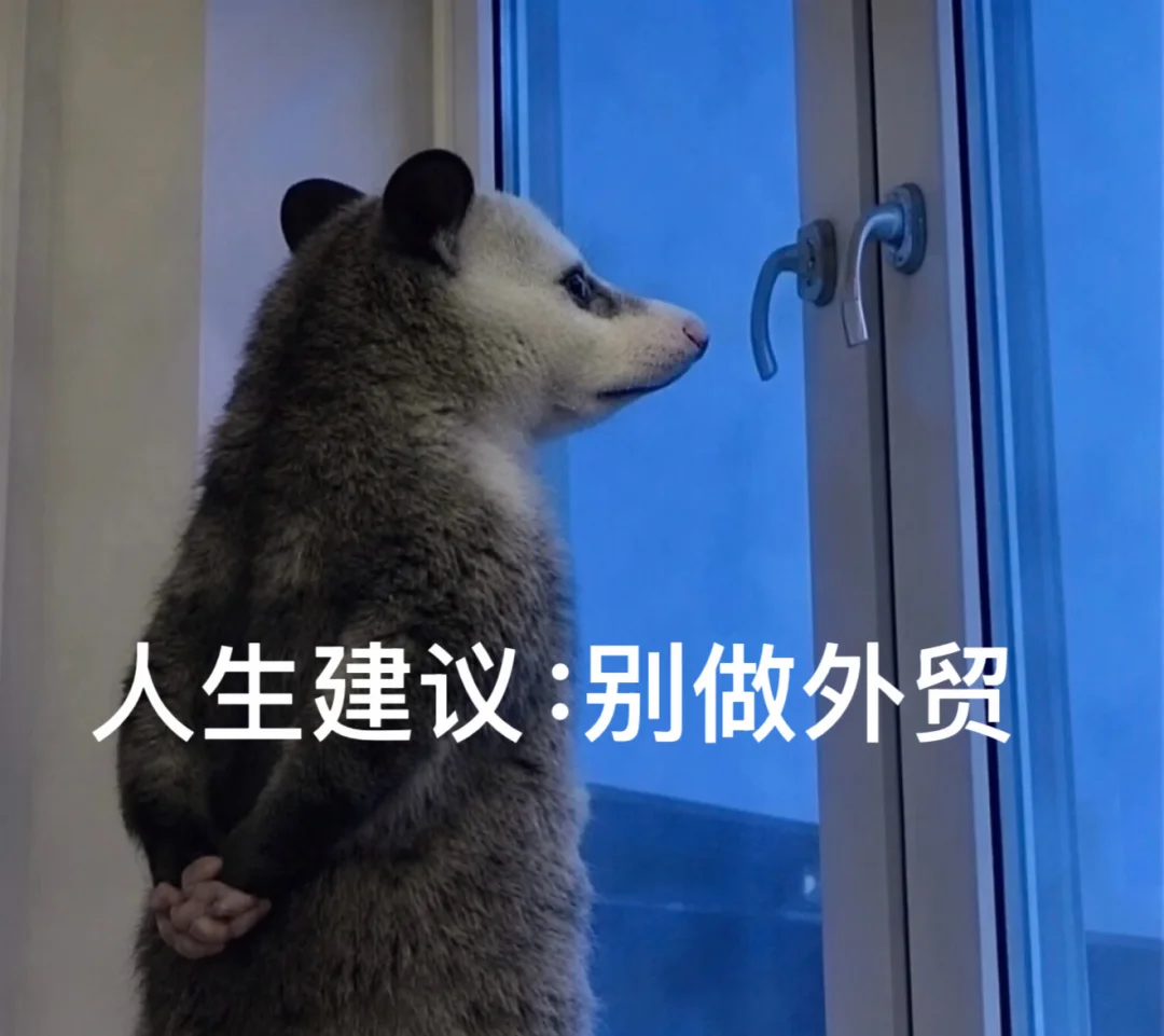 人生建议：别做外贸