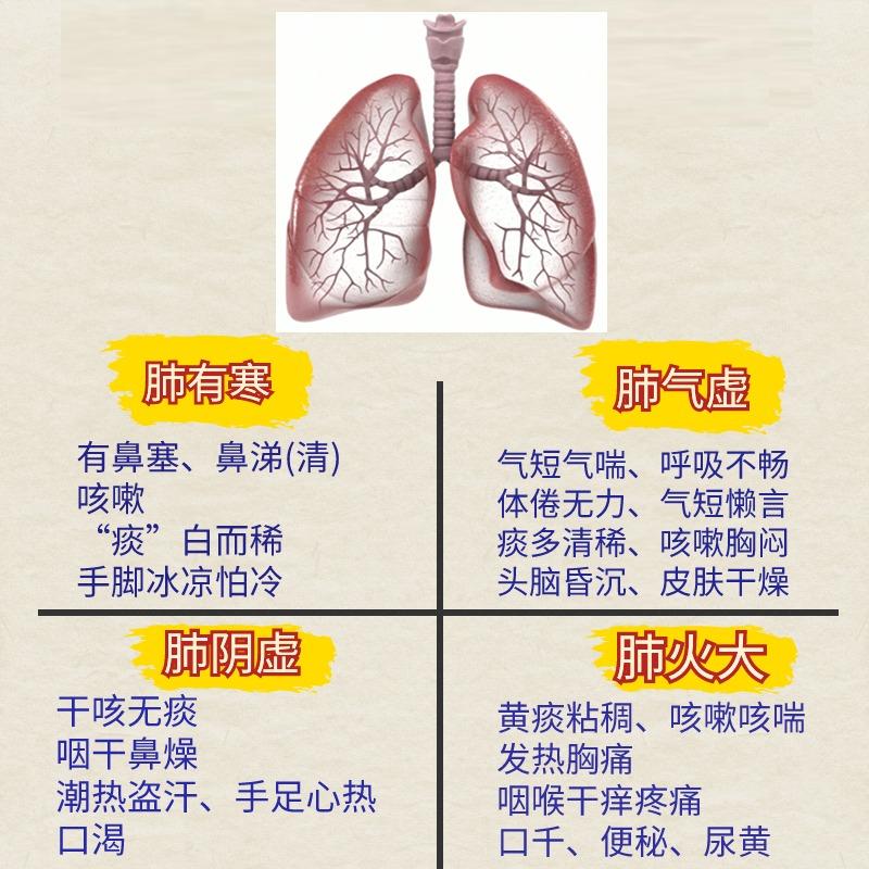 肺有寒，肺气虚，肺阴虚，肺火大，判断一下自己是那种情况？