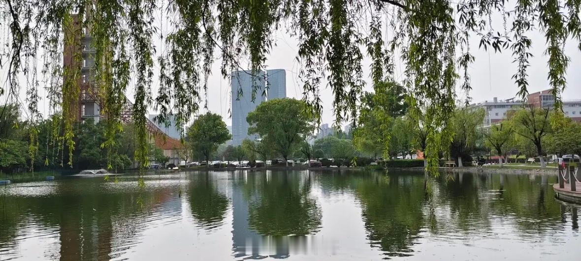 股民需要慢生活       又是一个晴天，只不过有点雾，公园里到处弥漫着香樟树、